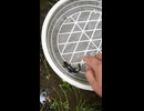 イモリくん