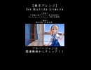 【東方アレンジ】旧作アリスのエモーショナルで重厚なロック！！【不思議の国のアリス】【the Grimoire of Alice】