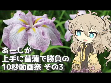 【第六回10秒動画祭】あーしが上手に菖蒲で勝負の10秒動画祭 その3　～埼玉県さいたま市見沼区染谷花しょうぶ園～【VOICEVOX旅行】