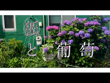 【初音ミク】狐と葡萄 / The Fox and the Grapes