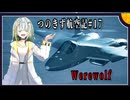 【AC7】つのきず航空記#17 Cape Rainy Assault