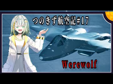 【AC7】つのきず航空記#17 Cape Rainy Assault