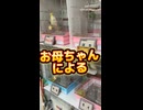 お母ちゃんによるオカメインコ達「ただいま」の儀