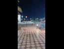A Peaceful Evening Walk with Dogs and People Gathering Outside