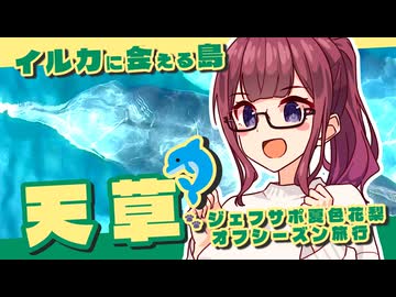【そうだ離島に行こう】野生のイルカに会える島・天草【ジェフサポ夏色花梨・オフシーズン番外編】