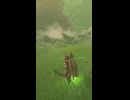 【ティアキン】フロリア湖のイワロック　ゼルダの伝説ティアーズ オブザキングダムNintendo Switch 2 Edition