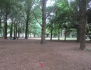 ハレ晴れユカイ