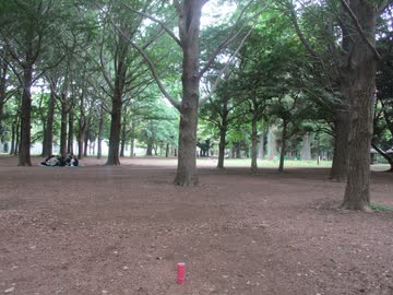 ハレ晴れユカイ