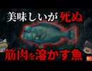 【1986】『フグ毒の60倍』食べれば筋肉が溶け死亡する猛毒…何故釣り人は危険な魚に気付けなかった？『アオブダイ横紋筋融解症事件』解説