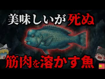 【1986】『フグ毒の60倍』食べれば筋肉が溶け死亡する猛毒…何故釣り人は危険な魚に気付けなかった？『アオブダイ横紋筋融解症事件』解説