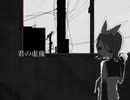 君の虚像/鏡音レン【オリジナル曲】