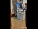 まったりデート