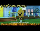 トモダチコレクション　ジムバッジの話題で友達になってみる！？　島の住人観察日記（ポケモン編）　＃７８８　【トモコレわくわく生活】