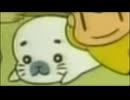 ゴマちゃんに注目！