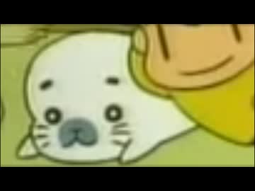 ゴマちゃんに注目！