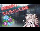 梅雨は少しうとうとしてる鬼【ソフトウェアトーク劇場】
