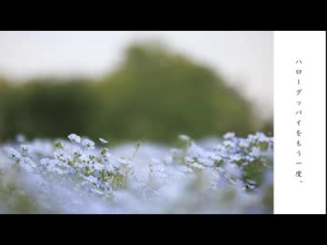 ハローグッバイをもう一度、/ okibi