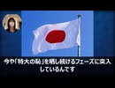 【ふぁびょーんゴキチョンが駆けつけて】　知的障害左翼さん、国旗損壊罪に焦ってアホすぎる屁理屈を披露してしまうｗｗｗ 【下手糞な偽情報で妨害工作を図りそうな動画】