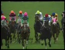 競馬 ヒシアマゾン 全レースダイジェスト