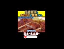 名古屋メシうますぎィ