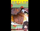 「水木しげる先生のおごり皿」ではなく「うp主のおごり皿」を作ってステーキ□をのせてみた（非売品） #food  #yummy #foodie #料理 #ゆっくり料理