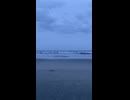 Title::out of reality. / ナースロボ＿タイプT