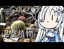 雪さんのナレーションで見る 咲くやこの花館（駆け足）