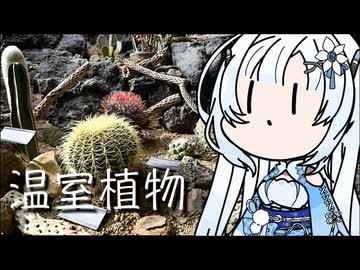 雪さんのナレーションで見る 咲くやこの花館（駆け足）