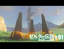 【ゆっくり実況】マスターモードで遊ぶブレワイ#91