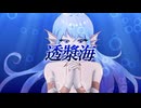 †RDE† 透漿海 feat.初音ミク