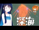 【Outer Wilds】青春のアストロノーツ湊音！#8【双葉湊音実況】