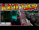 新武器AR『VX COMPACT』扱いやすすぎてすっこ【COD:BO7】