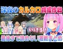 【#ホロARK切り抜き】カルカロをテイムするため最後のギリギリまで挑戦し続ける捕獲チーム（湊あくあ視点）【ホロライブ切り抜き】