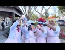 シュークリーム・ファンク 踊ってみた [マッシュル コスプレ 踊ってみた]