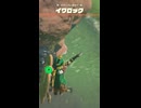 【ティアキン】キタッカレ高地のイワロック　ゼルダの伝説ティアーズ オブザキングダムNintendo Switch 2 Edition