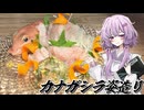 【カナガシラ姿造り】結月ゆかり曰く、釣れなければ原信に頼ればよいのでしょう？【VOICEROIDキッチン】