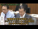 2026年5月28日　衆議院憲法審査　字幕付き