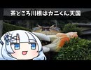 茶どころ川根はカニくん天国