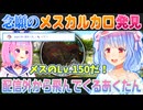 【ホロARK切り抜き】念願のメスのカルカロを発見した兎田ぺこらの元へ配信外で駆けつける湊あくあ【ホロライブ切り抜き】