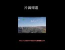 片翼帰還[war thunder]