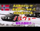 【ゆっくり解説】マイナー軍隊解説! ノルウェーの軍事力 ～兵員数は少ないが、産油国パワー(北海油田)で兵器を揃えている。。～
