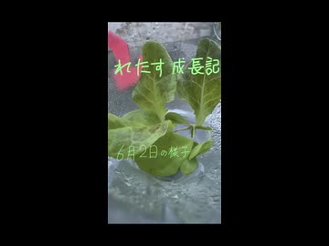 【ニコふぁんアルバムS】れたすくん成長期／プロトタイプ