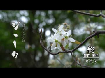 ジョーク / 青屋夏生 (covered by.結城碧)【25歳になりました】