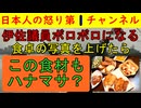 【いさ議員が挑発写真を掲載】「娘と作った食事で～す」と完全な炎上芸をかまし予想通りに大炎上する