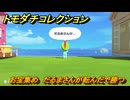 トモダチコレクション　お宝集め　だるまさんが転んだで勝つ　島の住人観察日記（ポケモン編）　＃８０５　【トモコレわくわく生活】