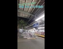 《京阪》駅と木が合体 異世界みたいな駅がありました！《萱島駅 萱島の大クスノキ》