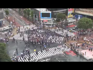 ホモと見る青信号になった時だけ集まって大騒ぎするサポーター