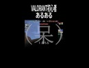 【VALORANT】適当しか言わない初心者□