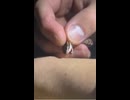 マムシvs俺