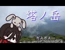 【RTA】塔ノ岳 大倉ピストン 4時間25分
